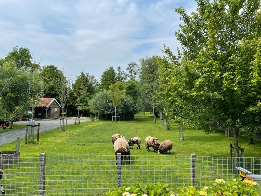 Flora'S B&B Landsmeer Dış mekan fotoğraf