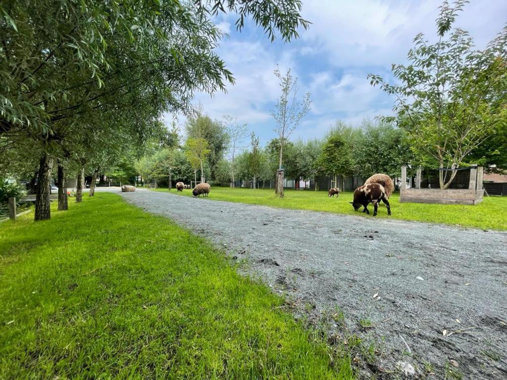 Flora'S B&B Landsmeer Dış mekan fotoğraf